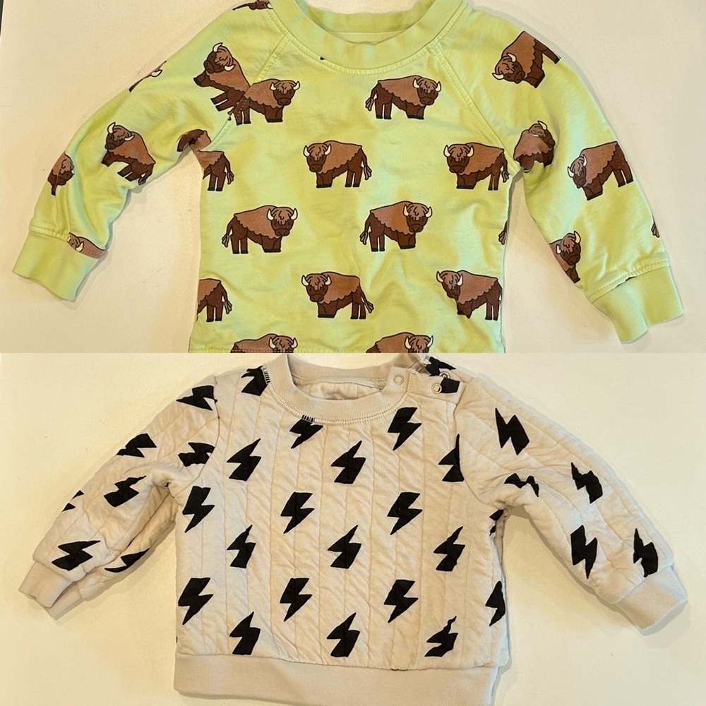 Cool Dude Sweatshirt Bundle - Bison and Lightning Print Sweatshirts (12 Months)